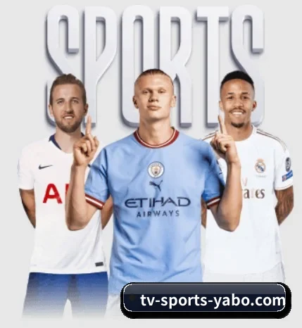 五个功能入口,赛程查询路径更短(Yabo)