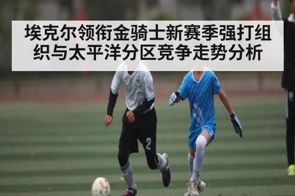 埃克尔领衔金骑士新赛季强打组织与太平洋分区竞争走势分析（Yabo）